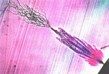 HVA45TD,<a href='http://www.yspmgs.com/Ppzq/b2.html'>B2HV</a> HVA45TD,<a href='http://www.yspmgs.com/Ppzq/b2.html'>B2HV</a>