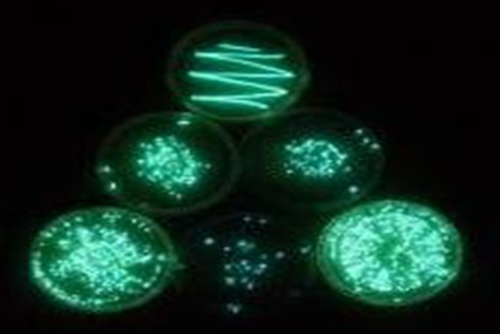 Microtox® FX,便攜式水質(zhì)毒性檢測(cè)儀