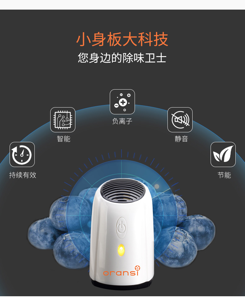奧蘭希冰箱除味器12 奧蘭希冰箱除味器12