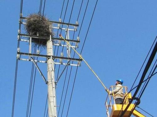 電纜故障檢測(cè) 電纜故障檢測(cè)