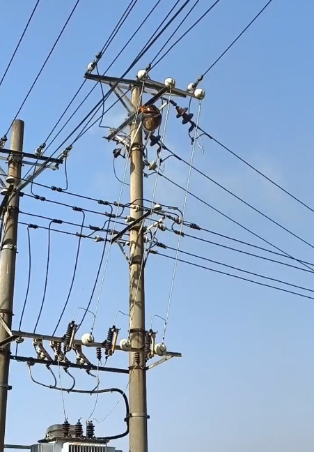 激光清障儀清除鳥窩 激光清障儀清除鳥窩