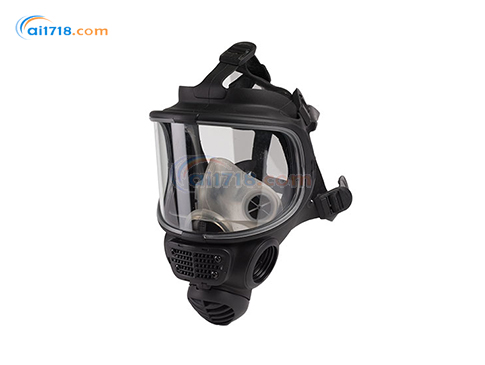 FM3全面罩 FM3全面罩