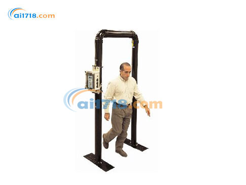 TPM-903B可移動門式輻射監(jiān)測儀 TPM-903B可移動門式輻射監(jiān)測儀