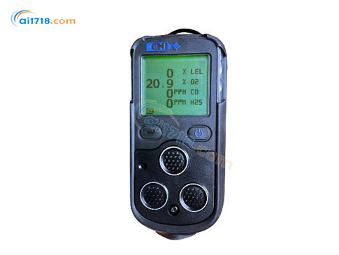 PS200可燃?xì)怏w檢測(cè)儀 PS200可燃?xì)怏w檢測(cè)儀