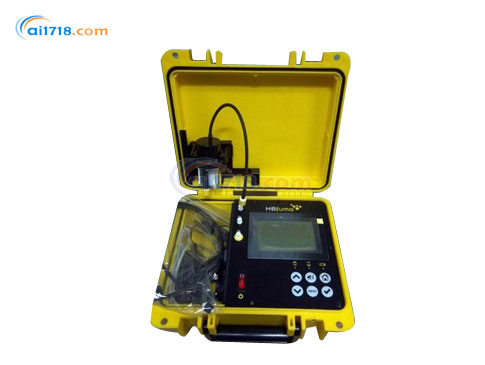 MBFUMA型溴甲烷檢測儀  MBFUMA型溴甲烷檢測儀