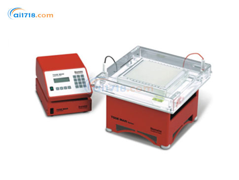TGGE MAXI溫度梯度凝膠電泳 TGGE MAXI溫度梯度凝膠電泳