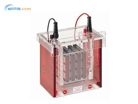 TANKBLOT ECO-MINI濕法轉(zhuǎn)印系統(tǒng) TANKBLOT ECO-MINI濕法轉(zhuǎn)印系統(tǒng)