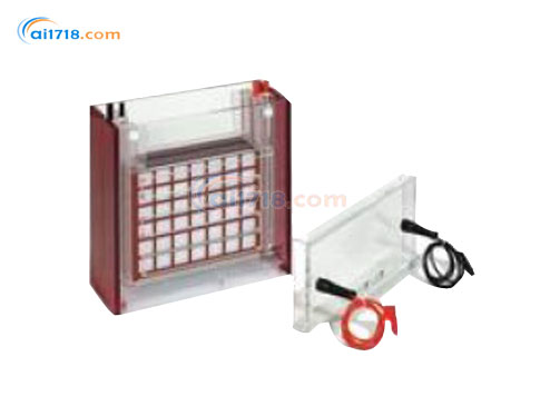 TANKBLOT ECO-MAXI濕法轉(zhuǎn)印系統(tǒng) TANKBLOT ECO-MAXI濕法轉(zhuǎn)印系統(tǒng)