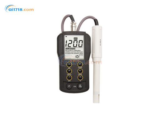 HI9813-5/HI9813-6微電腦pH-EC-TDS-℃測(cè)定儀 HI9813-5/HI9813-6微電腦pH-EC-TDS-℃測(cè)定儀