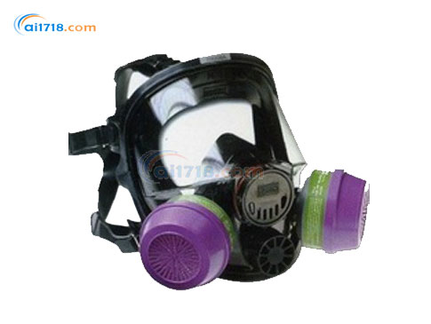 54001低維護(hù)全面罩 54001低維護(hù)全面罩