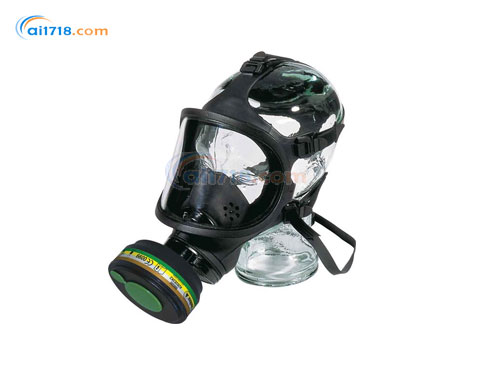 105007 M9200硅膠全面罩 105007 M9200硅膠全面罩