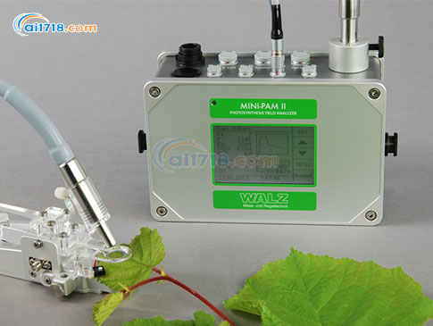 MINI-PAM-II超便攜式調(diào)制葉綠素?zé)晒鈨x MINI-PAM-II超便攜式調(diào)制葉綠素?zé)晒鈨x