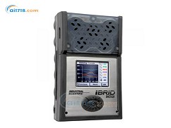 MX6復(fù)合氣體檢測儀 MX6復(fù)合氣體檢測儀