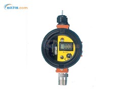 C12-17 可燃?xì)怏w檢測(cè)儀 C12-17 可燃?xì)怏w檢測(cè)儀