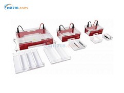 COMPACT L水平電泳儀 COMPACT L水平電泳儀