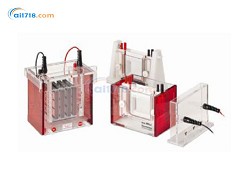 ECO-MINI垂直電泳 ECO-MINI垂直電泳