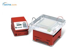 TGGE MAXI溫度梯度凝膠電泳 TGGE MAXI溫度梯度凝膠電泳
