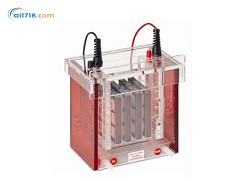 TANKBLOT ECO-MINI濕法轉(zhuǎn)印系統(tǒng) TANKBLOT ECO-MINI濕法轉(zhuǎn)印系統(tǒng)