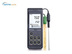 HI9124D2微電腦酸度PH-溫度測(cè)定儀 HI9124D2微電腦酸度PH-溫度測(cè)定儀