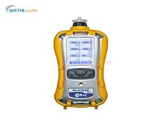 MultiRAE2 PGM-62XX六合一氣體檢測儀 MultiRAE2 PGM-62XX六合一氣體檢測儀